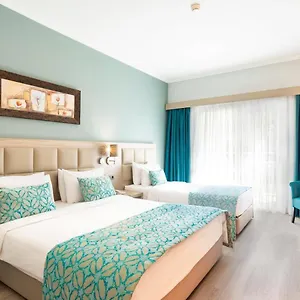 book here